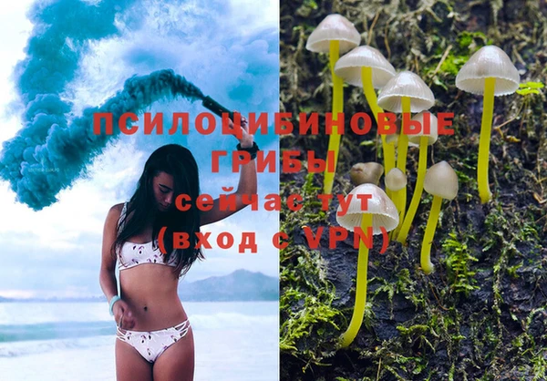 синтетический гашиш Заводоуковск