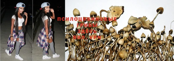 кокаин VHQ Заволжск
